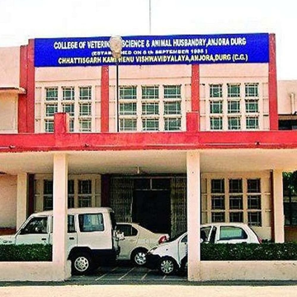 कामधेनु विवि भर्ती विवाद: जांच के आदेश के बावजूद प्रक्रिया जारी, राज्यपाल तक पहुंचा मामला
